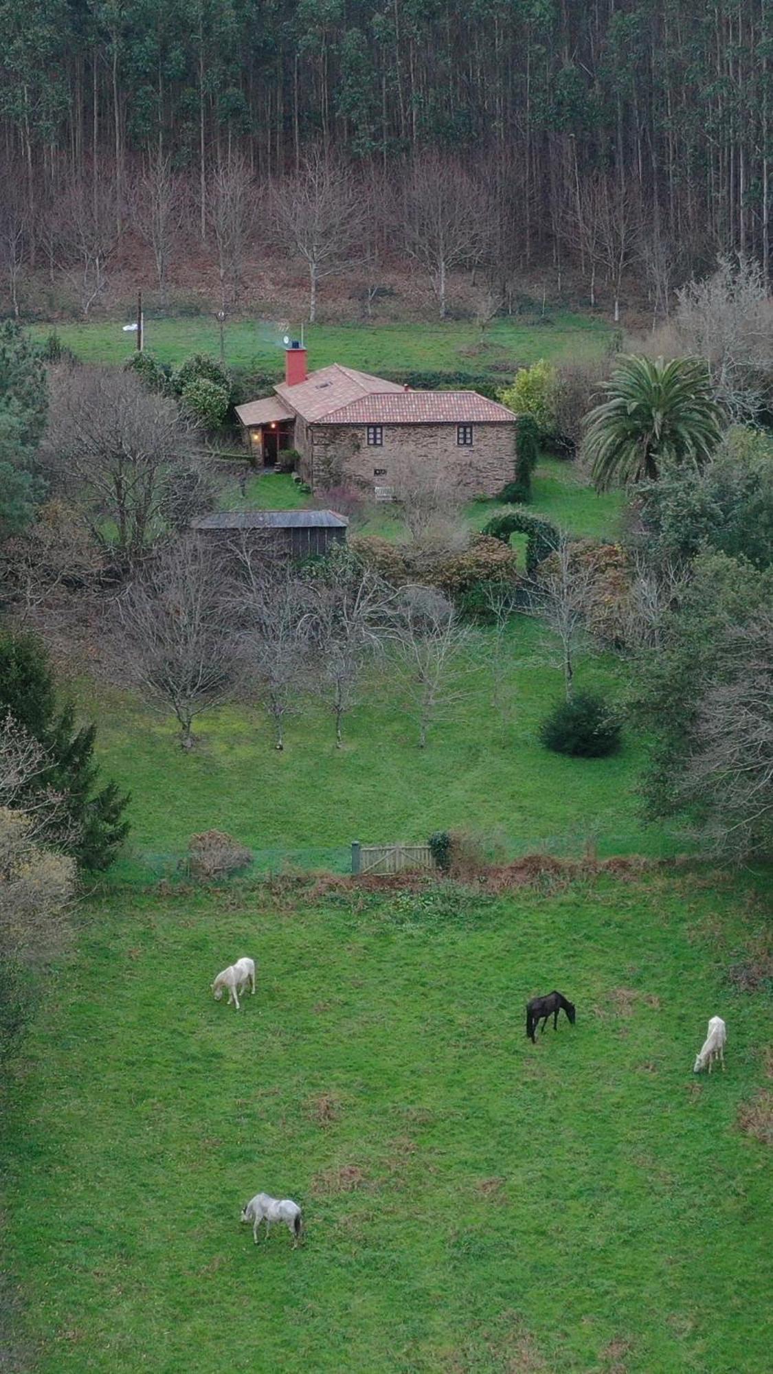 Casa Castro De Crecente Villa Valdoviño Екстериор снимка